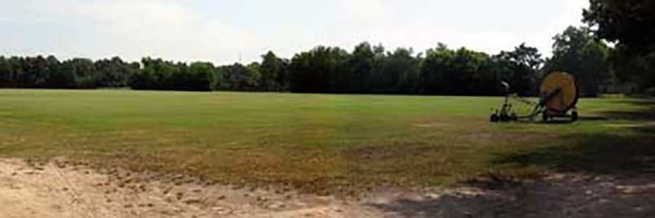 Winthrop Field