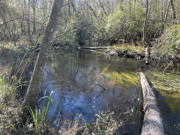 New Haven Shaws Creek