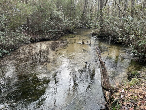 Three Runs Creek